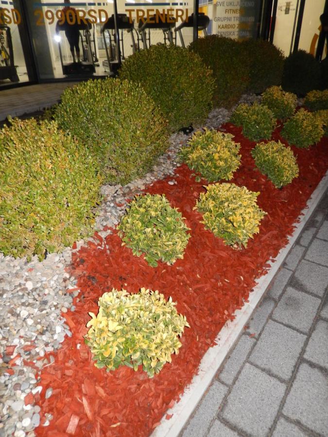 Central Palace Apartmani - Pupinova Palata Novi Sad Eksteriør bilde